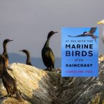 The cover art for the book, 'At Sea with the Marine Birds of the Raincoast' by Caroline Fox is overlaid on a photo of black Pacific cormorants and Glaucous-winged gulls standing on a rock.